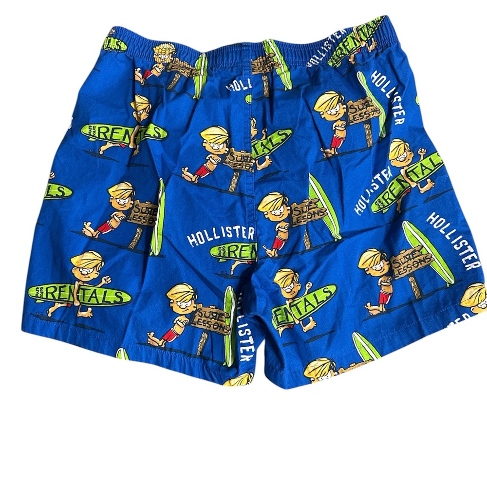 377. Hollister Waxer men’s boxers size M - Picture 2 of 5